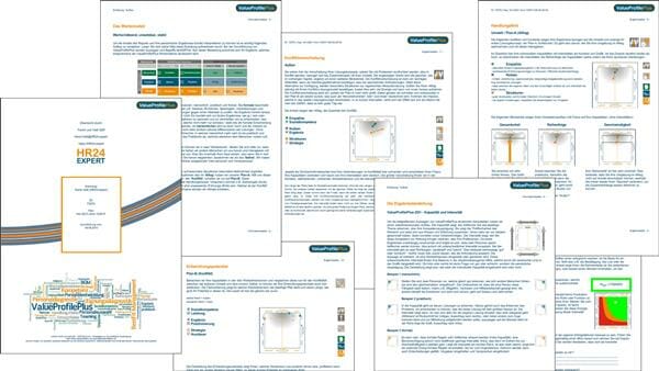 Wie lese ich einen ValueProfilePlus Report?